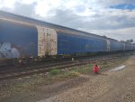 CPS FLT-034763-9